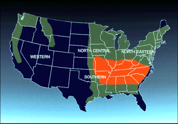 Tall fescue growth indicated in red